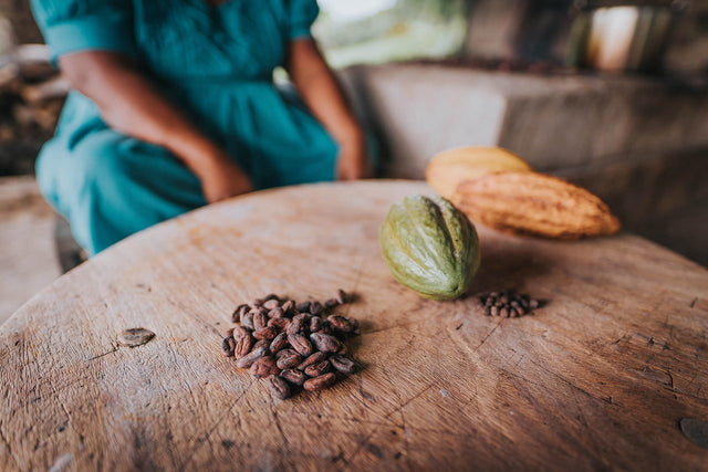 Cocoa Farm - Maya Mountain Cacao - Belize - Valrhona Partner - Display of pods ans cocoa beans