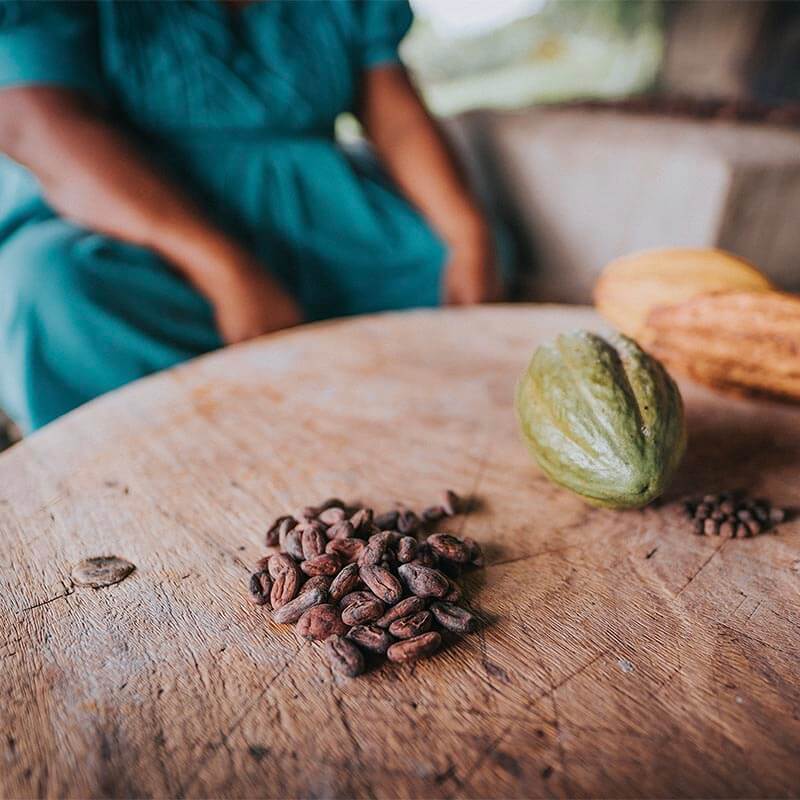A person sits at a table with both cacao fruit and cocoa beans in Belixe