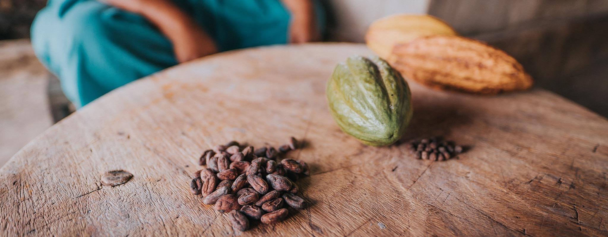 Cacao fruit and cocoa beans are on a table.