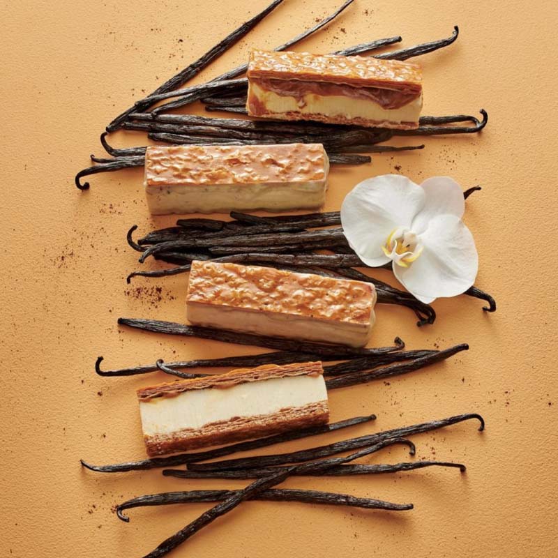 Vanilla treats, beans, and flowers, on a gold background.